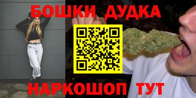 дурь Сланцы